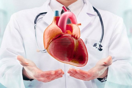 Cardiología